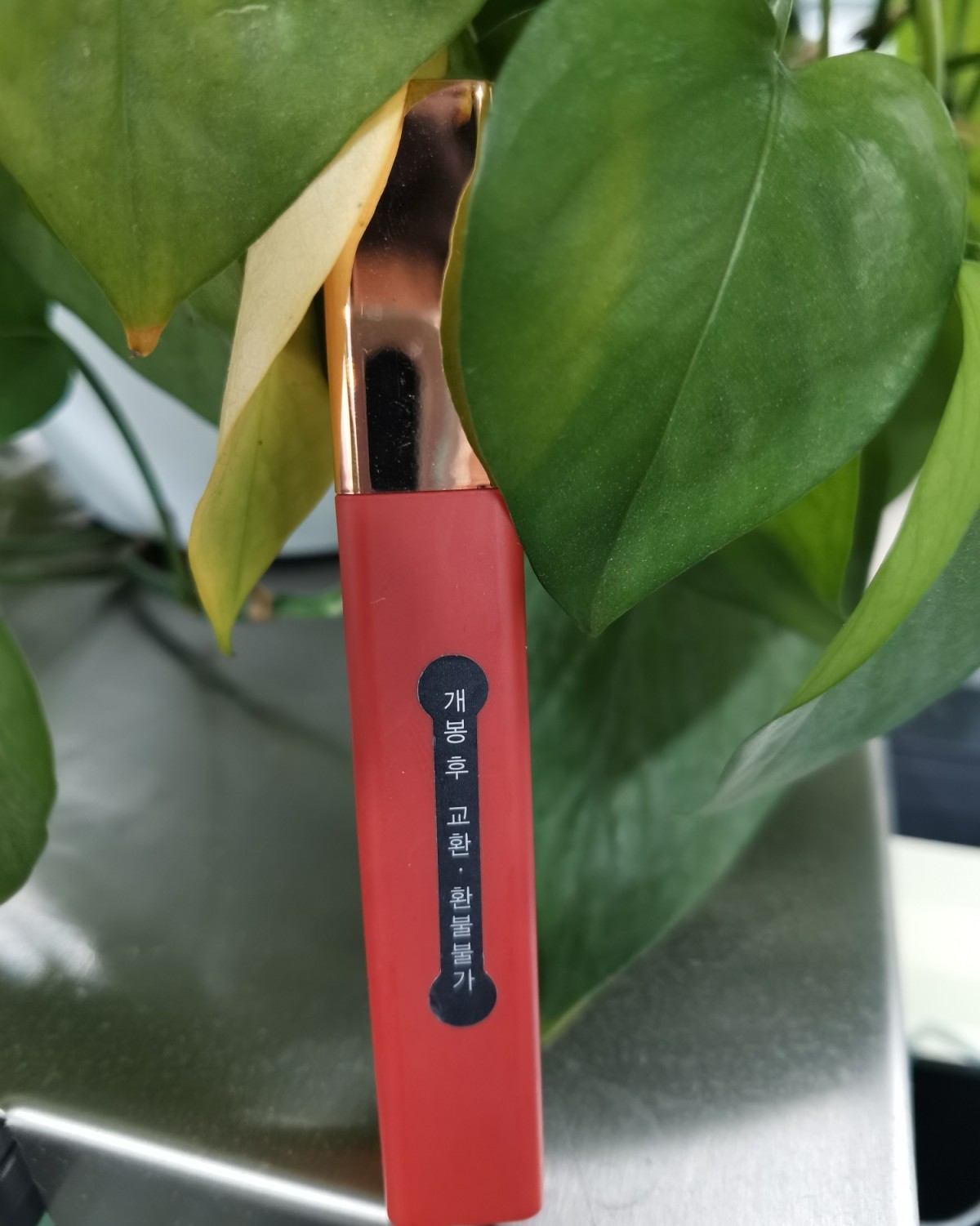 点绛唇•不负韶光            ———豆沙界的老网红