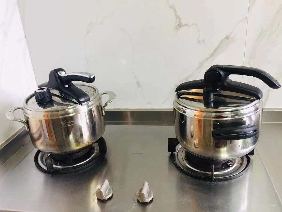 Lagostina 拉歌蒂尼 Domina Vitamin 