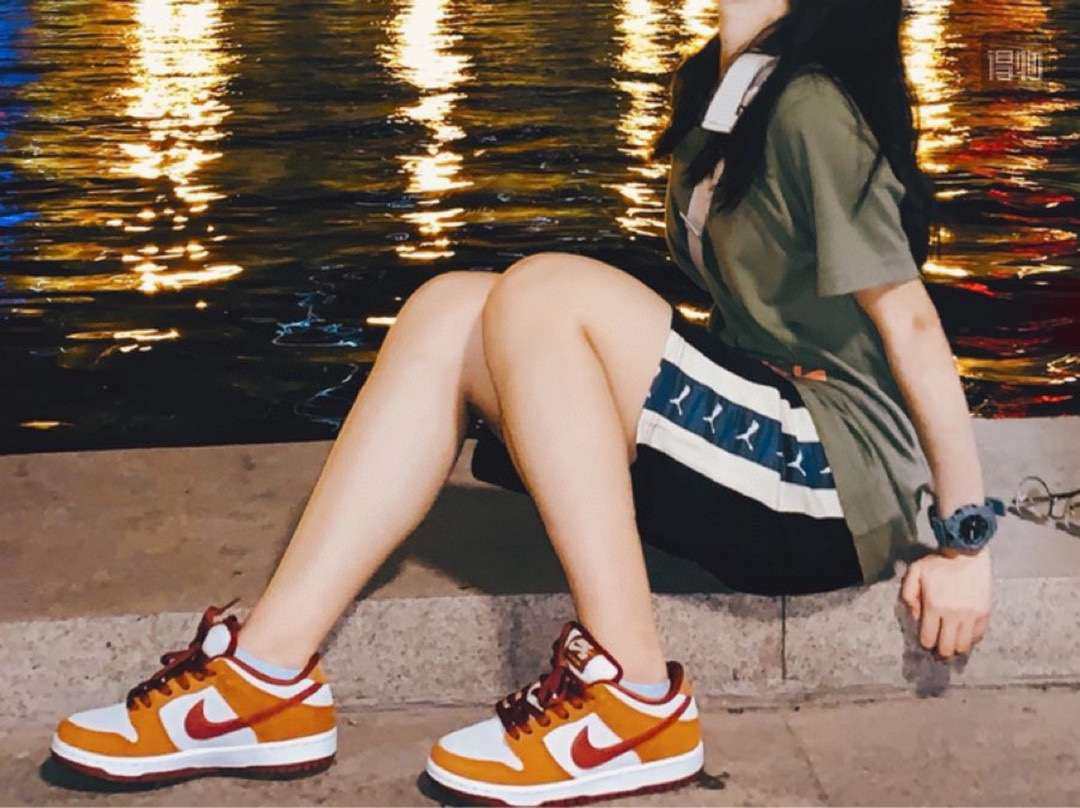 素材❌  Nike SB Dunk Low Pro Russ