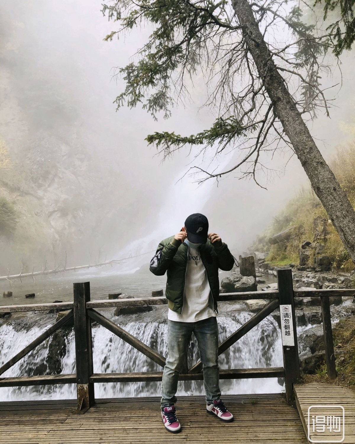 Nike  Dunk Low SB True Berry 波