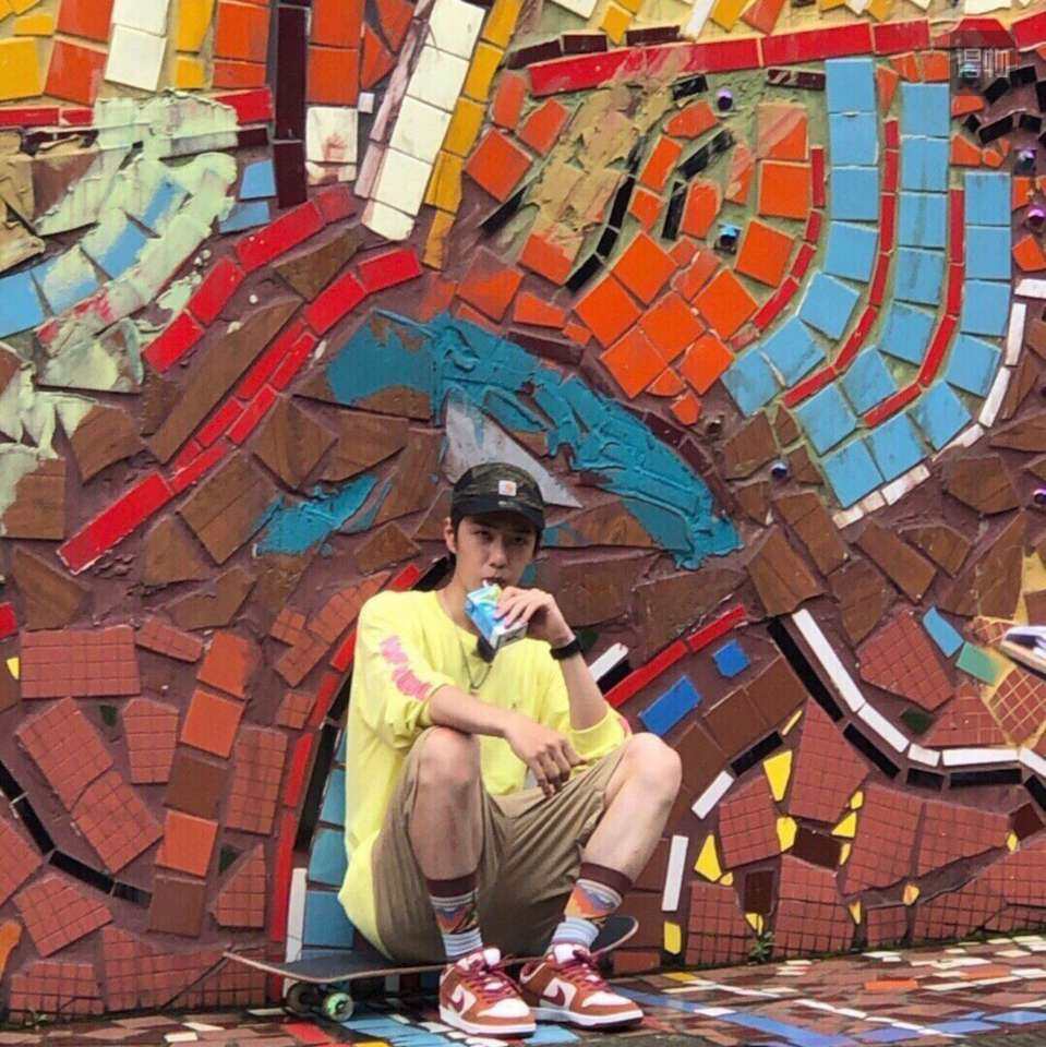素材❌  Nike SB Dunk Low Pro Russ