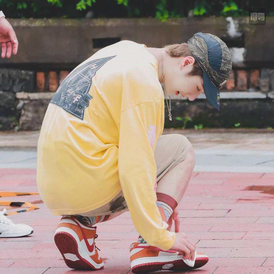素材❌  Nike SB Dunk Low Pro Russ