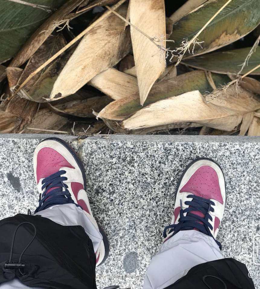 Nike  Dunk Low SB True Berry 波