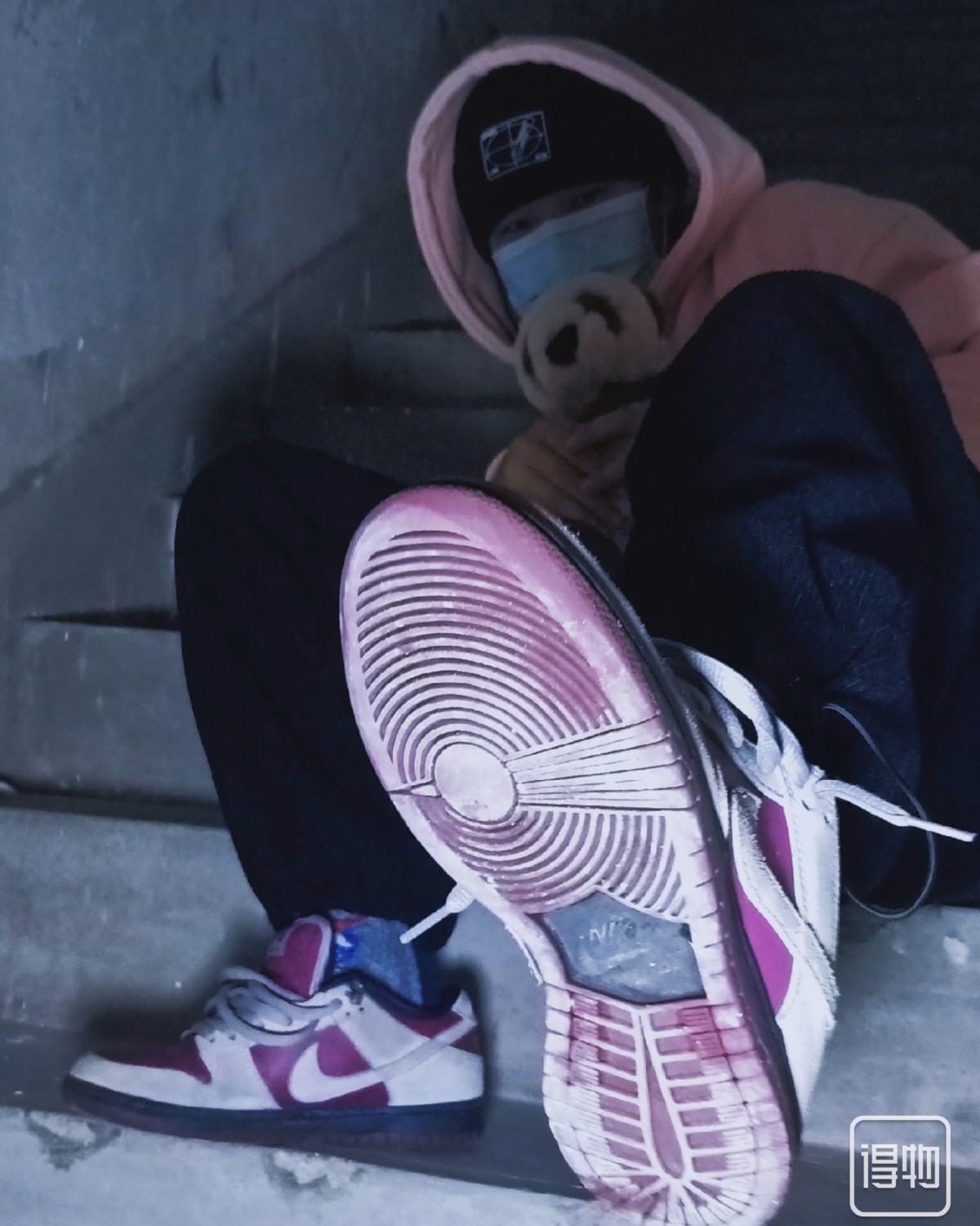 Nike  Dunk Low SB True Berry 波