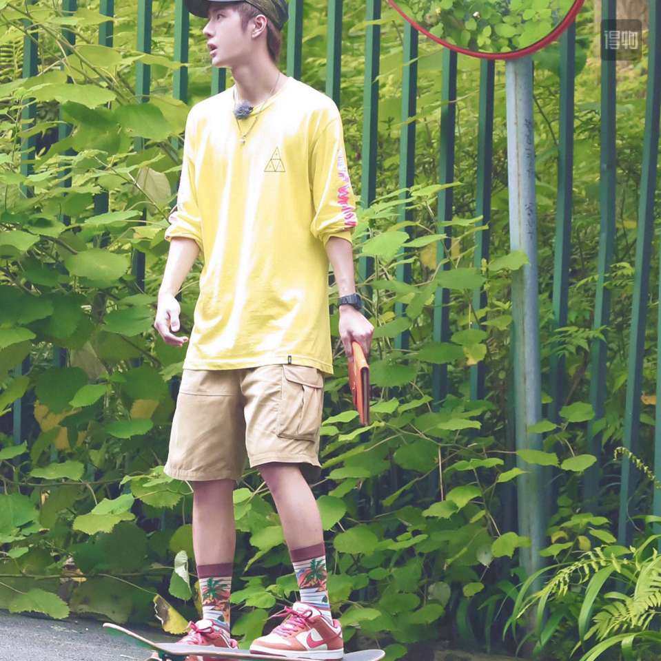 素材❌  Nike SB Dunk Low Pro Russ