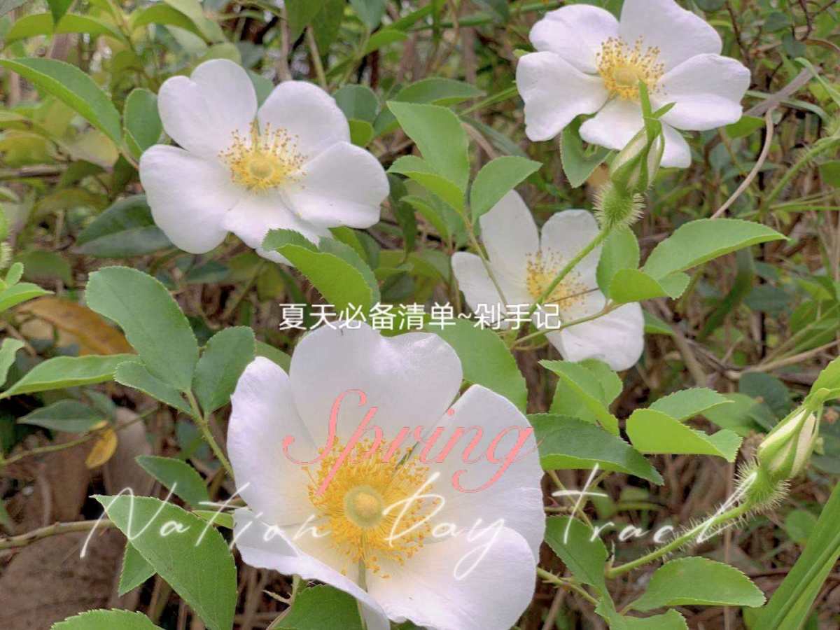 我的剁手记~鼠尾草与海盐香膏 😍😍听闻祖玛珑香水味道好好