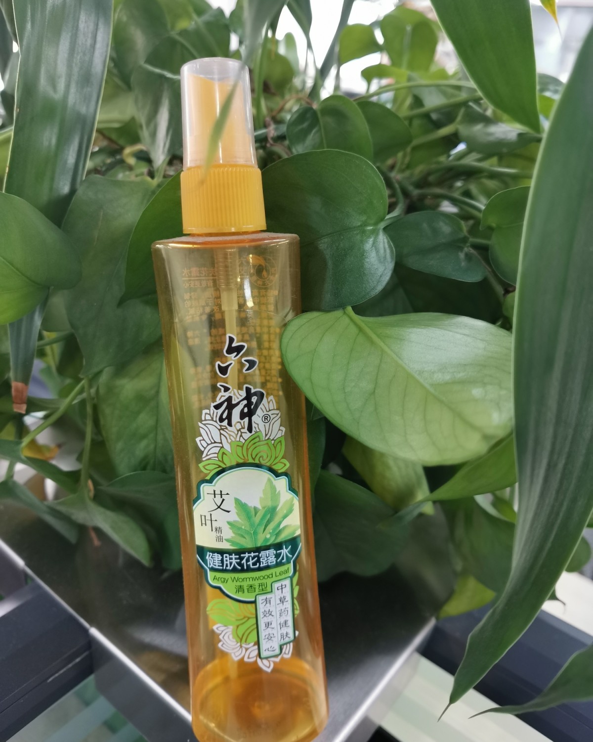 还记得爱情公寓里，子乔调戏老阿姨那一幕，经典台词，six g