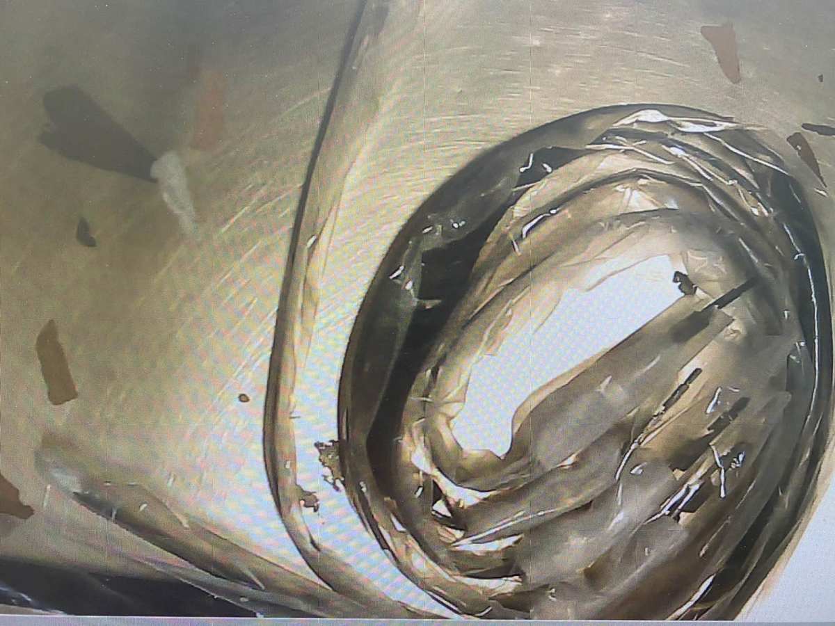 转运国际 第二单 24天完美收货 coach皮带！ 第一次下