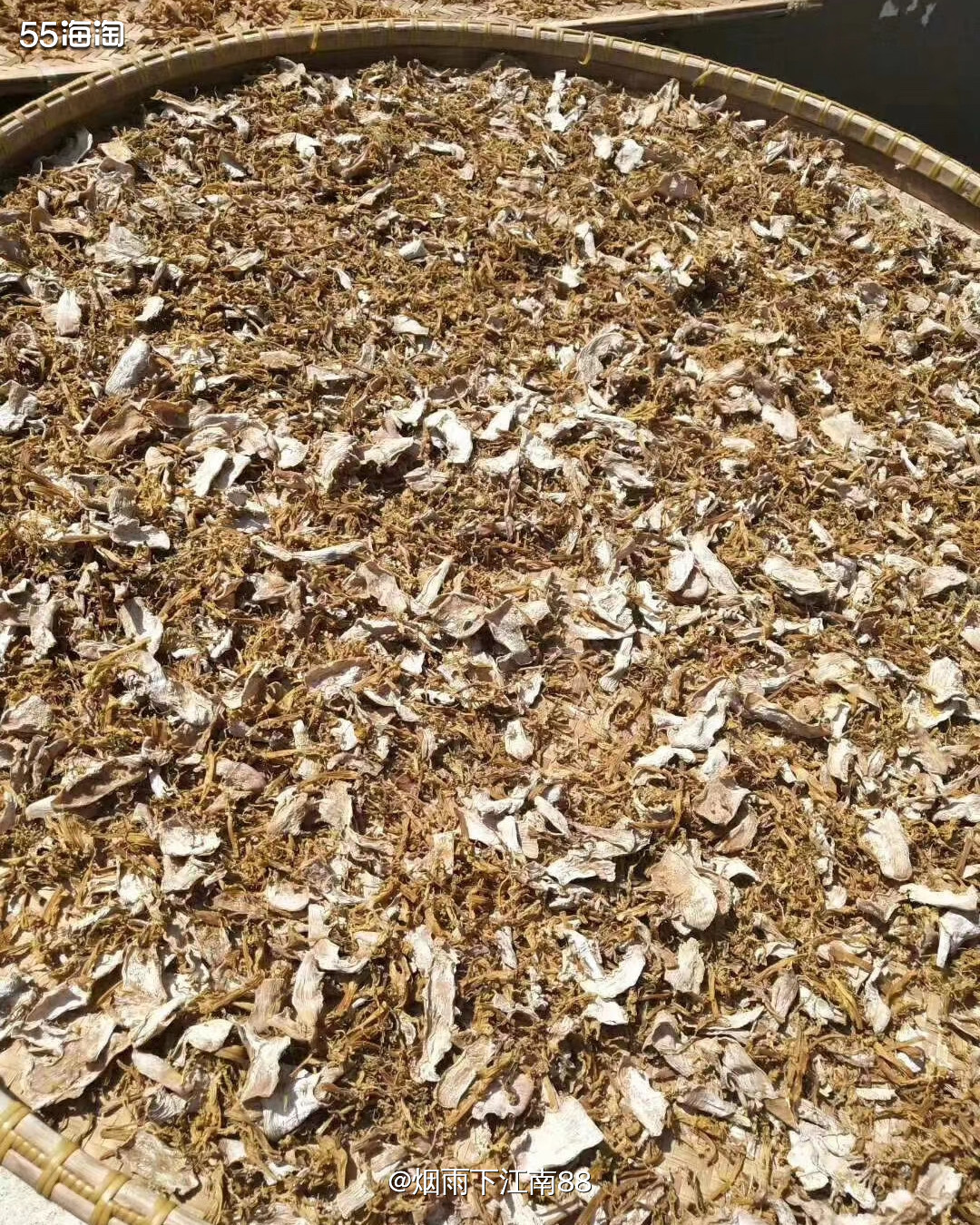 春光明媚，万物复苏，正是春季尝鲜的好时节。每年的三月份左右，