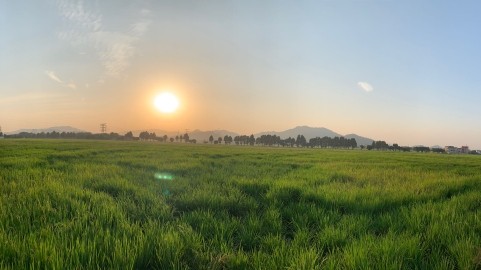 作为孙中山的故居#南朗镇#，声名在外，吸引众多旅客为此而来。