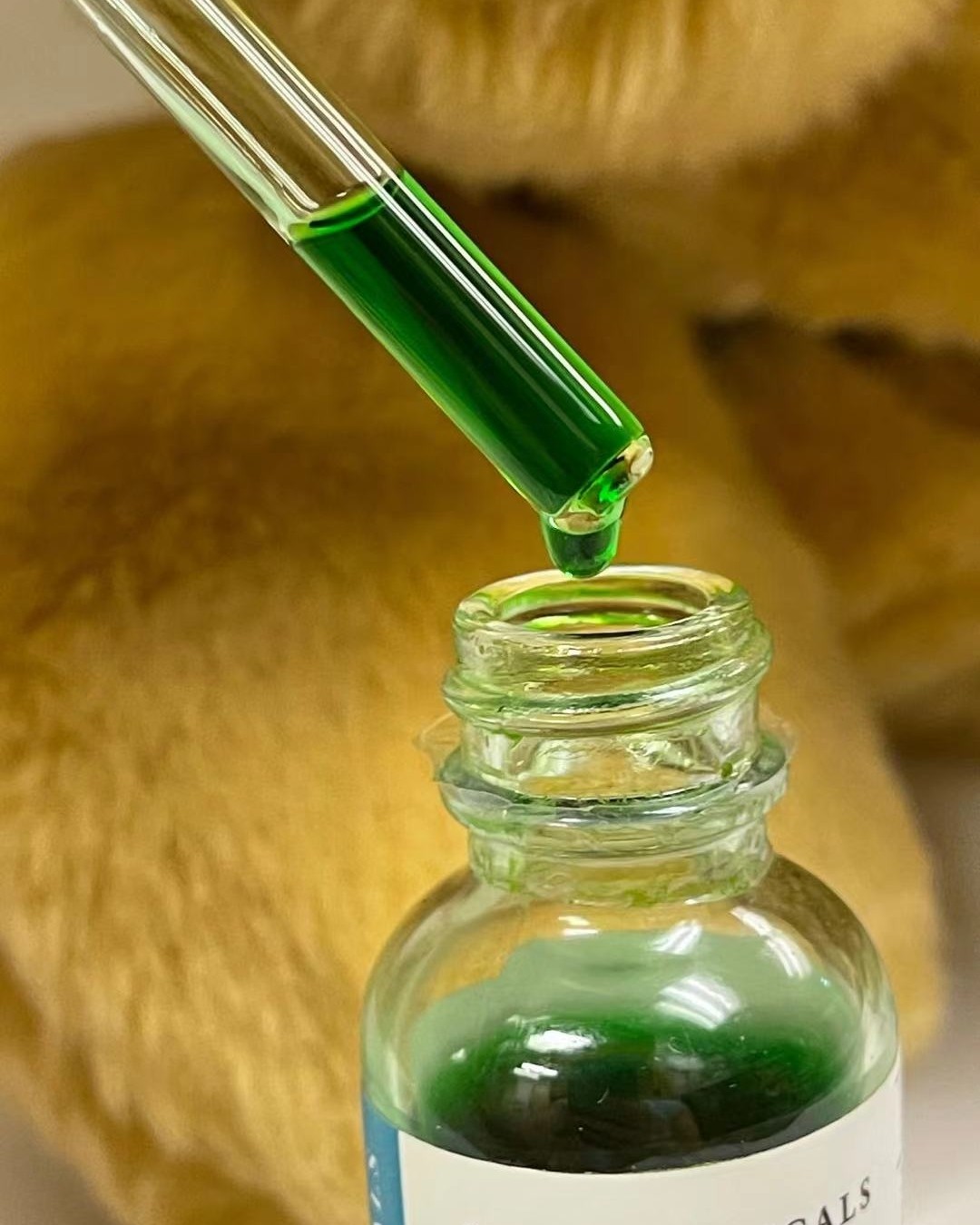 因为之前各种作，导致脸部似的出痘，手欠的我非要给它挤破才开心