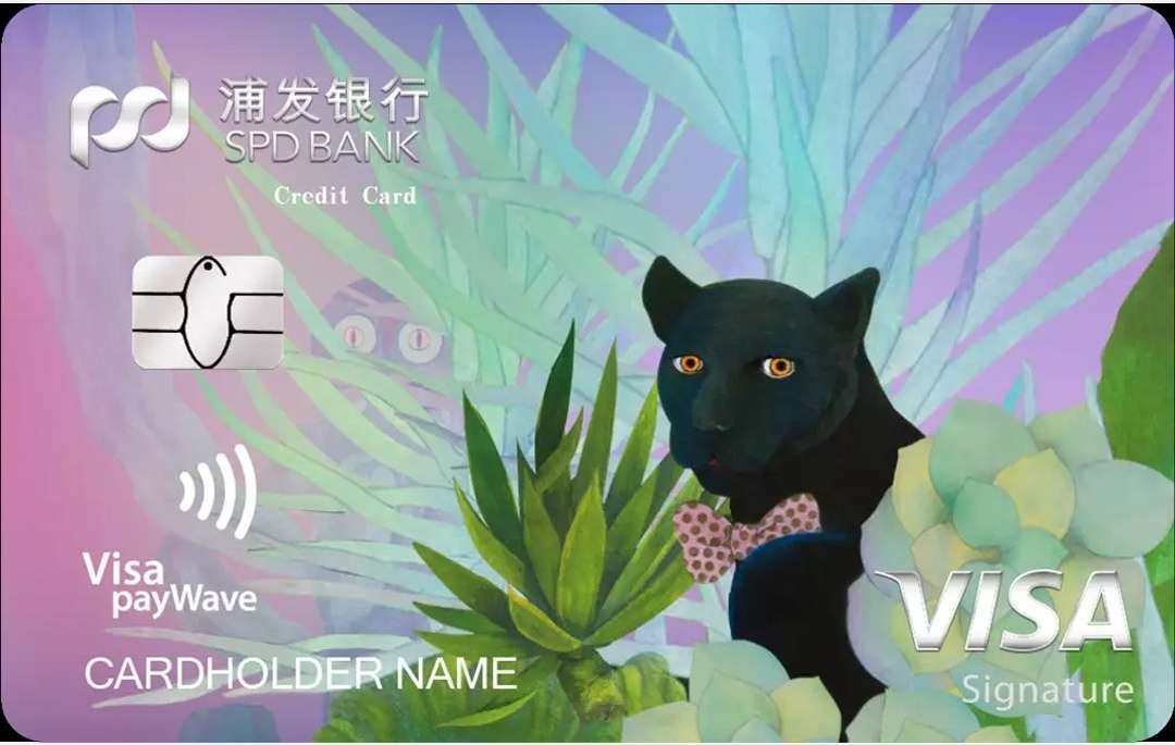 浦发VISA御玺信用卡+浦发Visa御玺信用卡(黑豹版)  