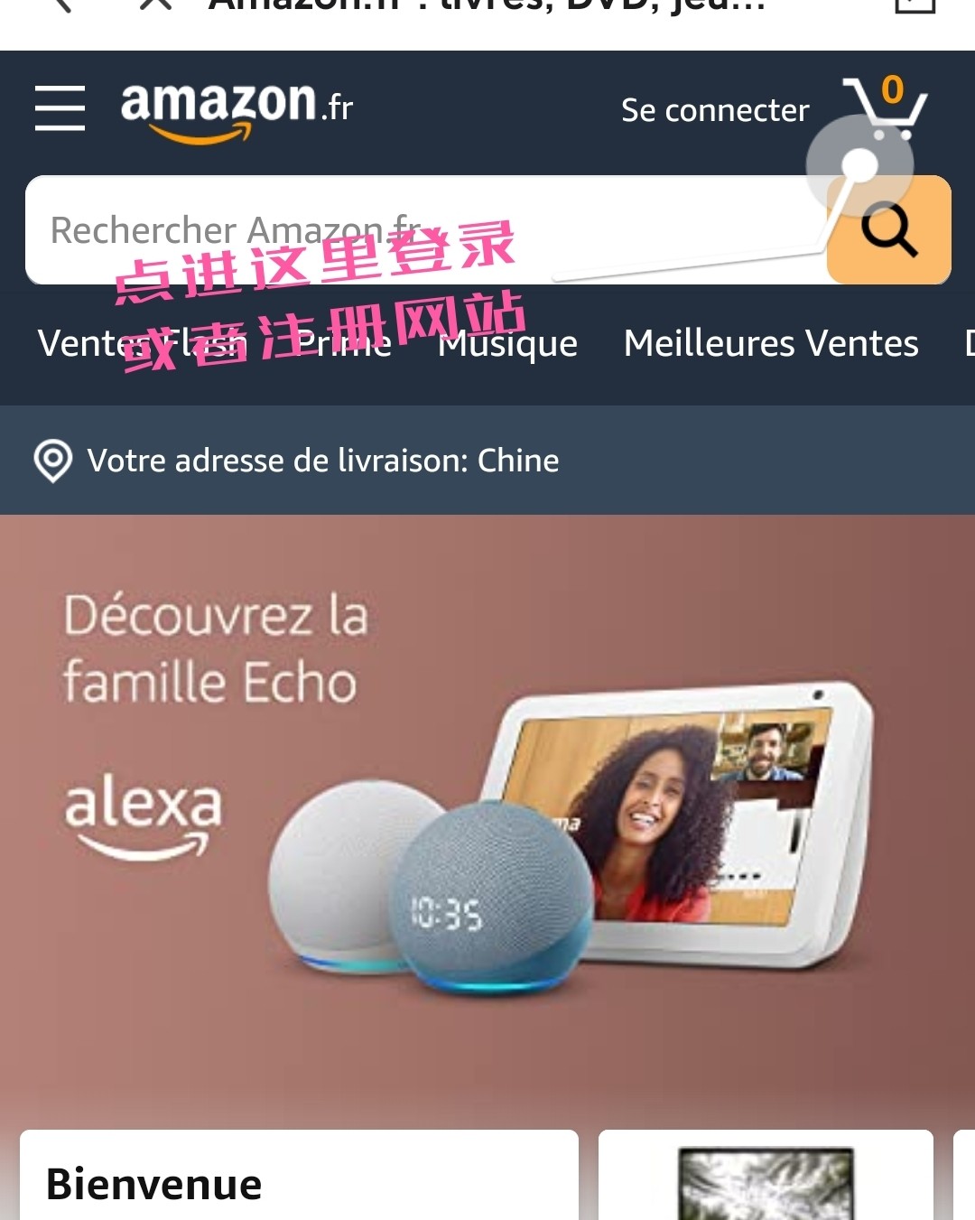 今天首次尝试法国亚马逊海淘成功了，撒花撒花，研究了好一会，毕