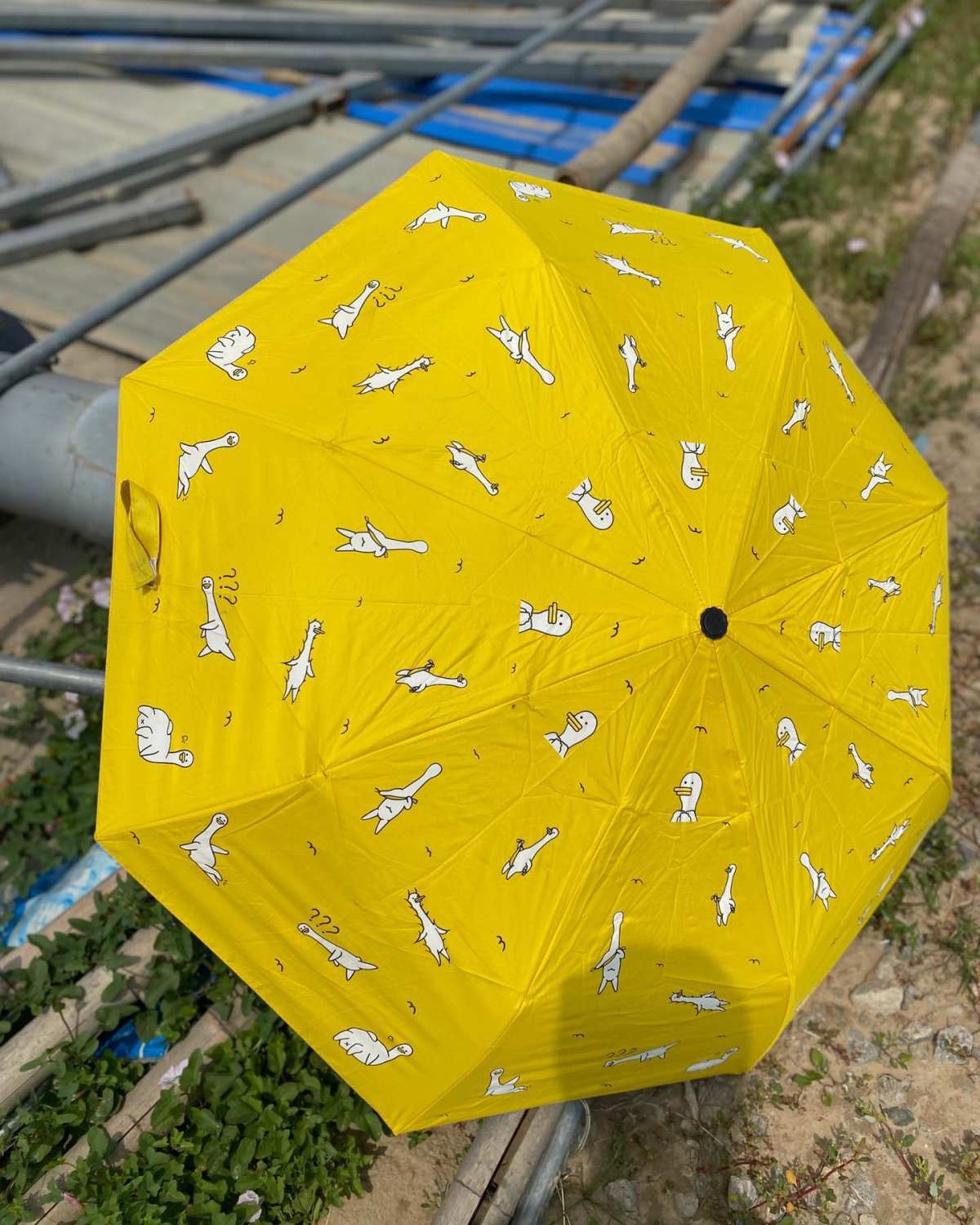 👀全面介绍了一系列产品，差点忘记夏日出行非常好的帮手👌遮