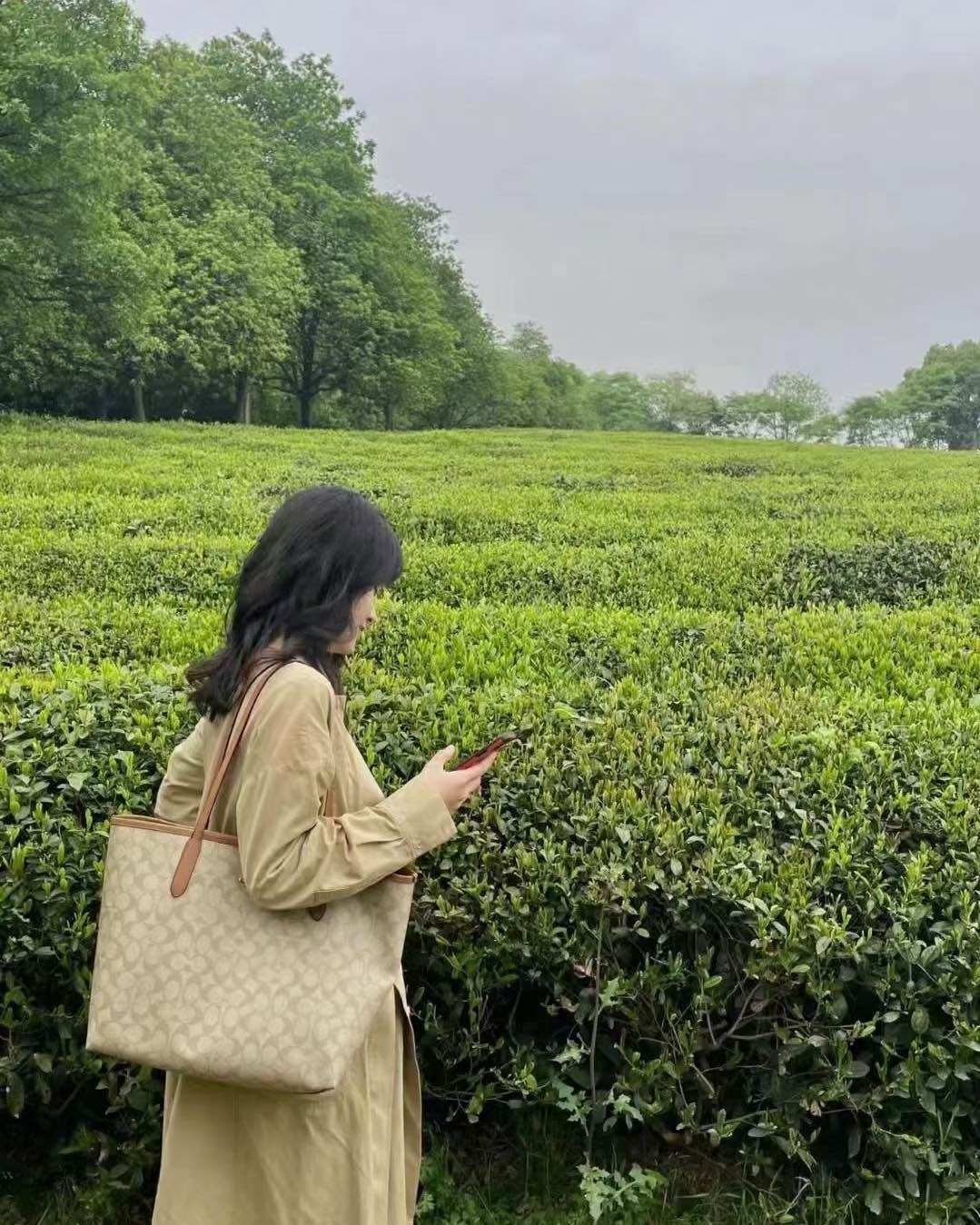 ✨爆款Coach奶茶色托特包好不容易抢到了几个，这款包包超温