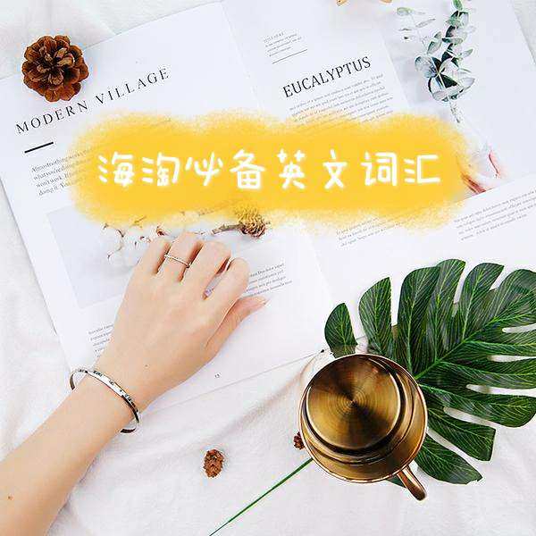 在浏览国外的网站，总是会碰到各种英文词汇，我们来看看常见的一