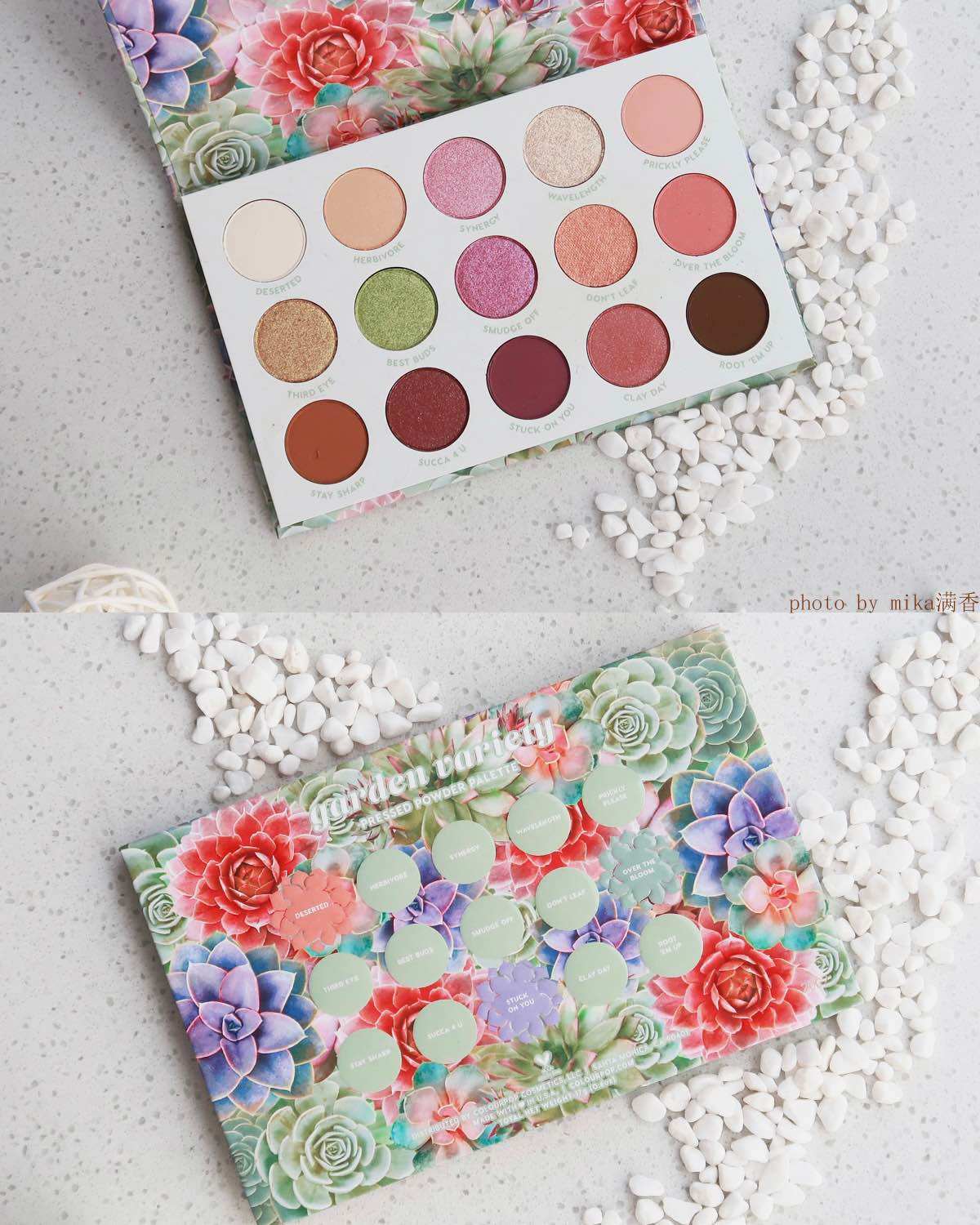 我太喜欢这盘多肉了，既有日常的大地棕色，又有我最爱的紫色，还