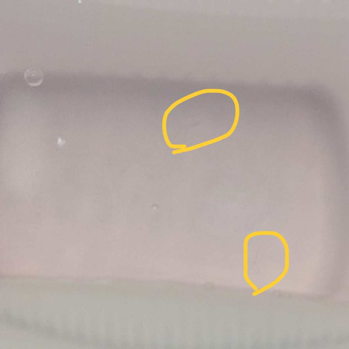 这次测评的是拉拜诗洗眼液，感谢金主爸爸视客网还有亲亲55海淘