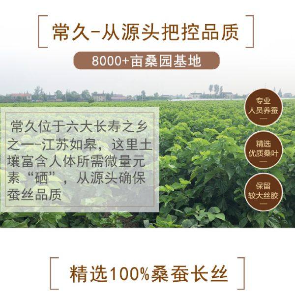 一个靠谱的蚕丝被批发厂家，备受许多蚕丝被地区代理、销售商的钟