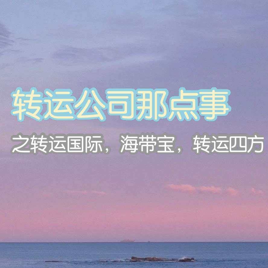 转运公司就是谁用谁知道，或多或少有点问题，一下列举对比我用过
