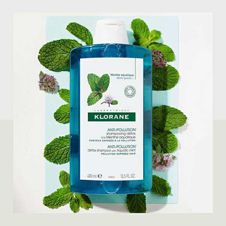 之前我们有写过法国海淘的话题，我就写过康如这个品牌。我之前买