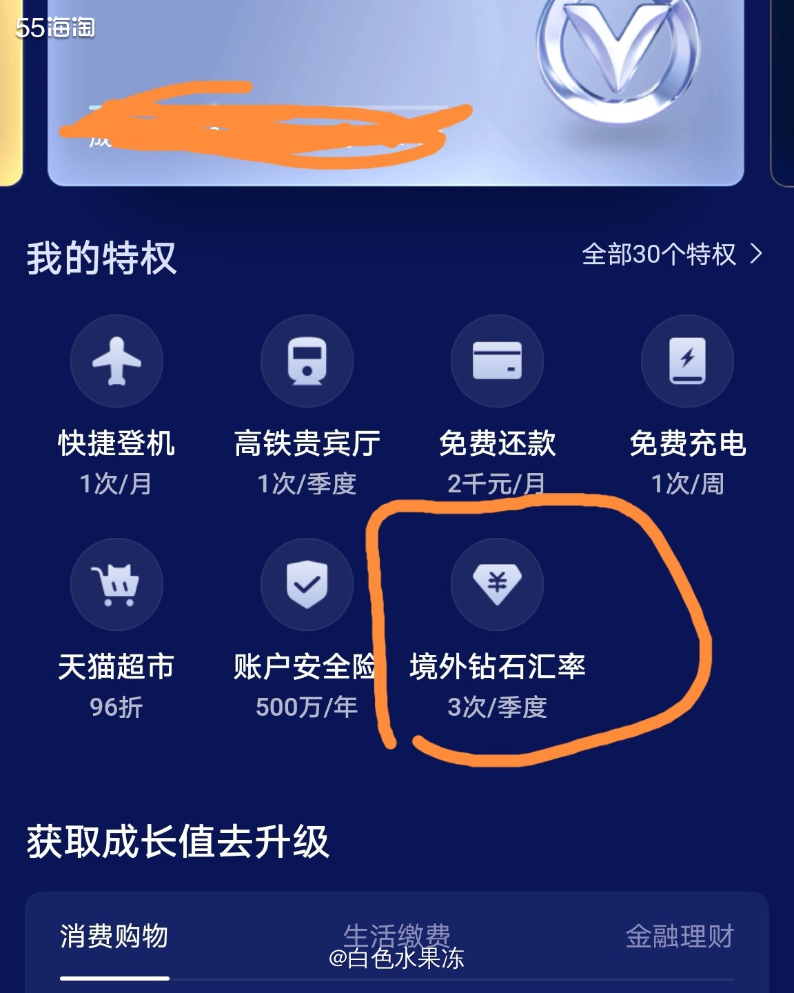 1、海淘有些网站是支持支付宝支付的，例如LF，GG，美国雅诗