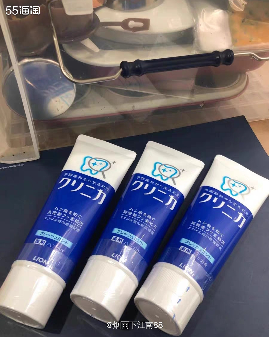 亚马逊海外购狮王牙膏温和薄荷 直立式 130g×10个套装只