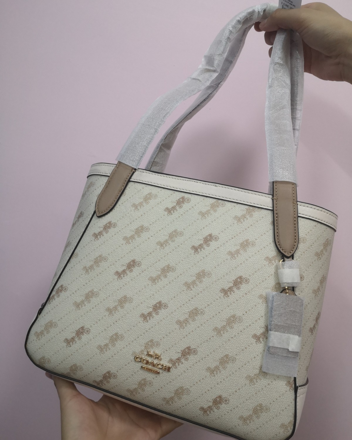 ❤️💗💗收到蔻驰 Horse And Carriage 