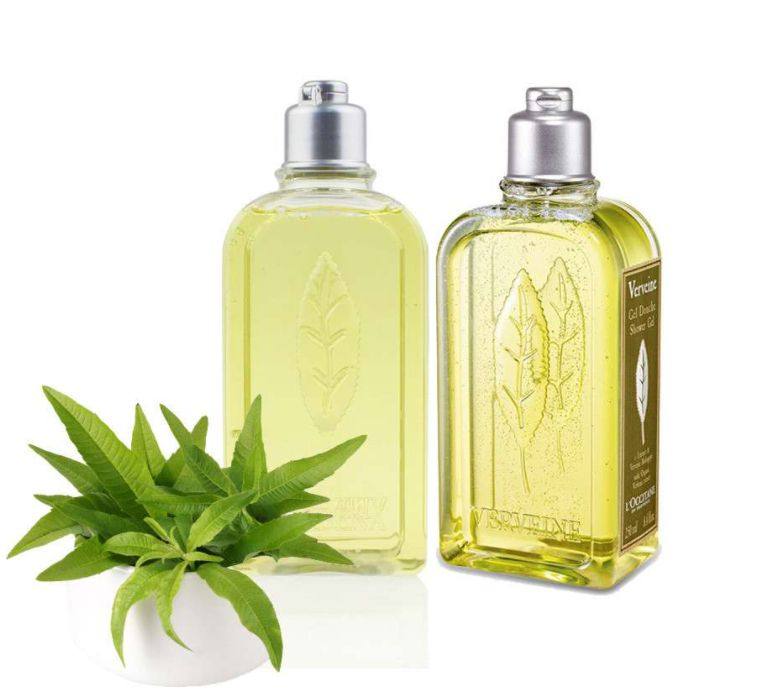 ✅物品：L&#039;Occitane 欧舒丹 马鞭草泡泡沐