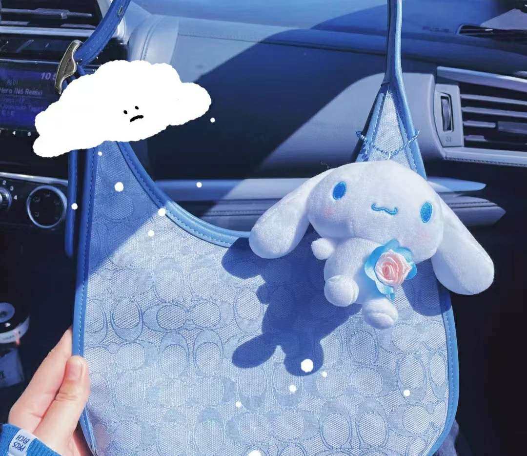 🍵近几年火了腋下包,也爆火了coach几款腋下包,这款co