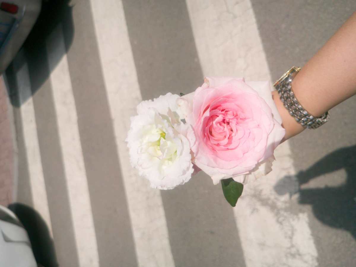 终于快下雨了，这几天哈尔滨的温度高的不正常，今晚终于预报有雨