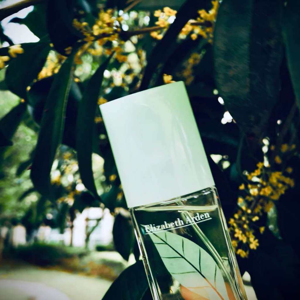 低调的大佬伊丽莎白雅顿家有两款最出名的香水，一是绿茶香水，二