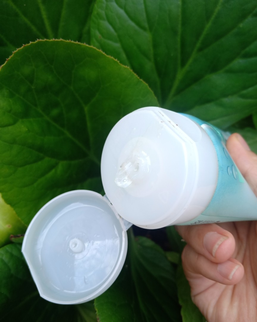 来自德国的dm超市的芭乐雅洗面奶，这款芭乐雅芦荟洗面奶来自德