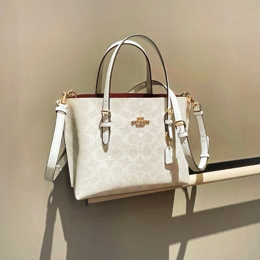 说实话coach入的眼的包包类型永远跑不出一个圈子：水桶、腋