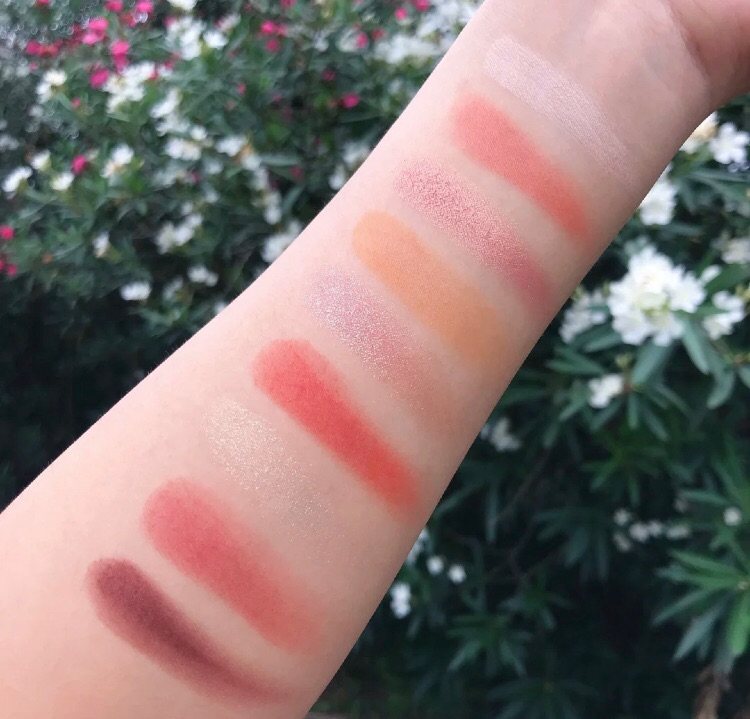 Colorrose眼影盘无美颜原相机试色✨  🌟今天试色 