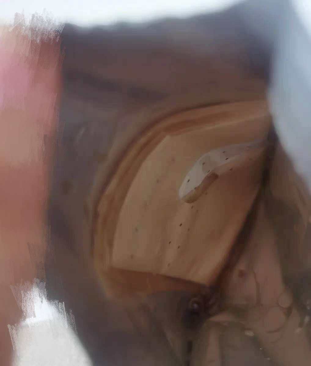 ✨长痘痘的妹子对日常补水的面膜是不是更希望增加一项祛痘的功能