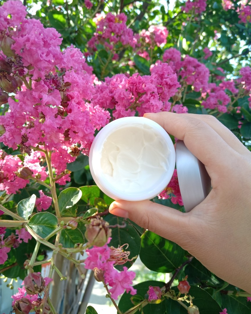 ⭐️⭐️  这款面霜ISANA（依莎娜）是德国🇩🇪的牌子