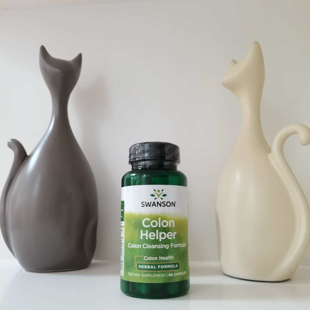 🌱哈喽everybody！！豚豚又来了！首先非常荣幸能够获