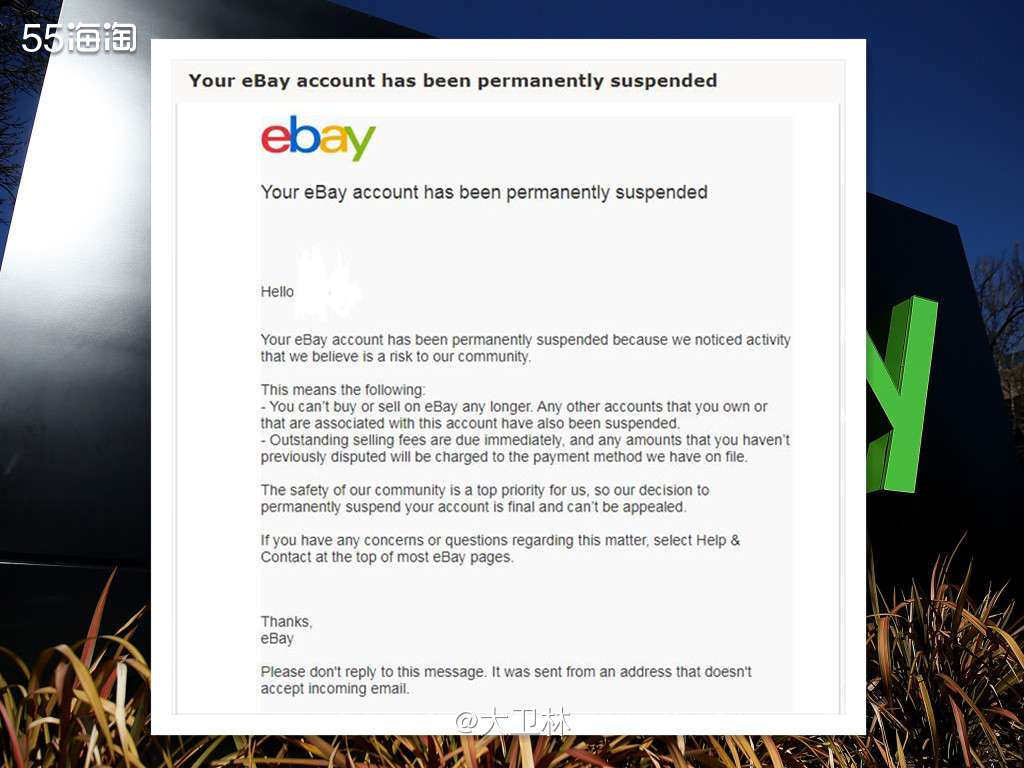 EBAY网，俗称美国咸网。原来是个类似淘宝的电商，但现在发展