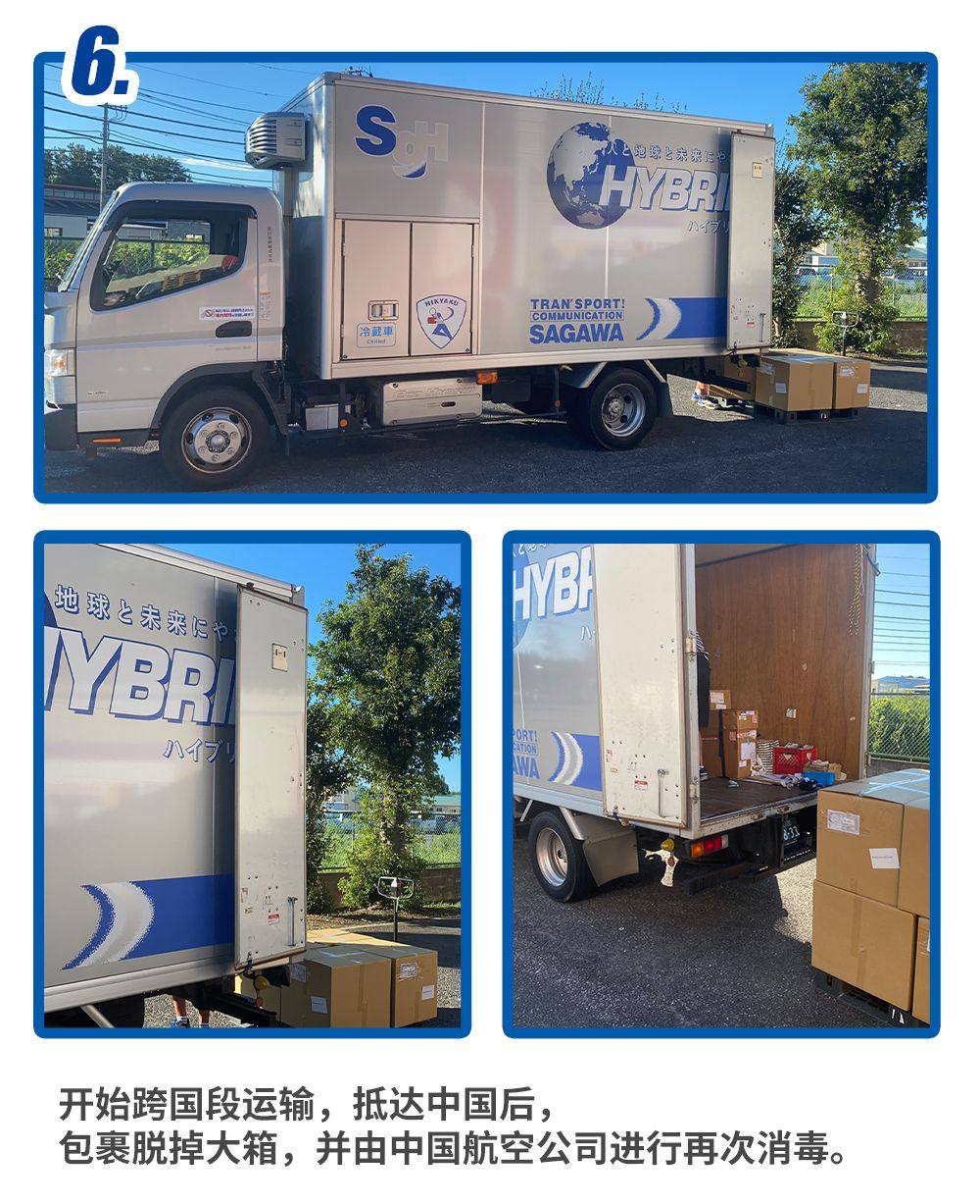 网站实用小技巧！新手必看！！ #关于发货流程 #关于仓库打包