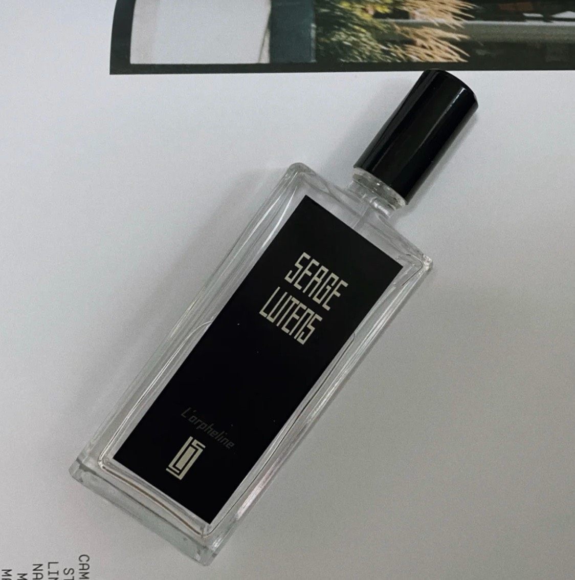 ☁️芦丹氏的孤女/孤儿怨这支香的灵感来源于灰烬。焚香、檀香、