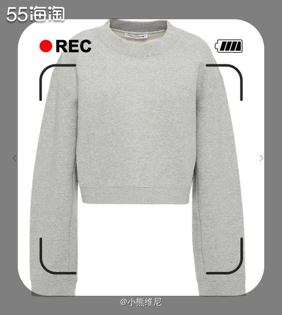 冬天了，你需要一件高腰百搭卫衣来点缀你的衣厨，这件卫衣是在T