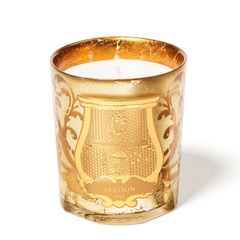 Cire Trudon 法式*风香薰蜡烛 #ERNESTO 皮革与烟草 烟熏木质调 270g