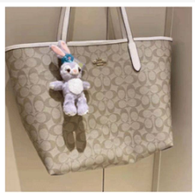 🤣托特包我相信每个姐妹都拥有了一个吧，COACH 蔻驰包包