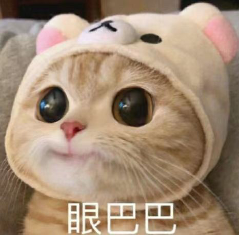 有代的吗，好难，孩子搞不懂