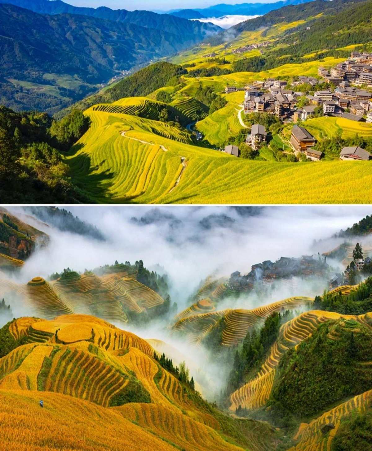 💙有趣的人生，一半是家常里短，一半是山川湖海 ❤️我的家乡