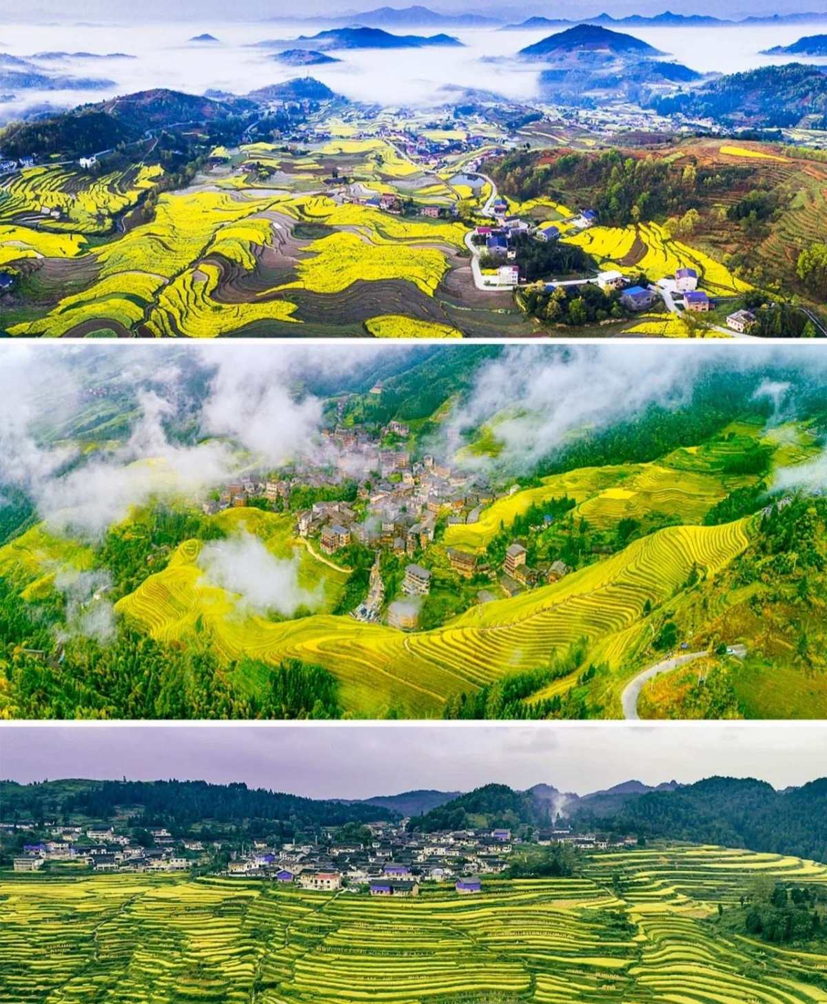 💙有趣的人生，一半是家常里短，一半是山川湖海 ❤️我的家乡
