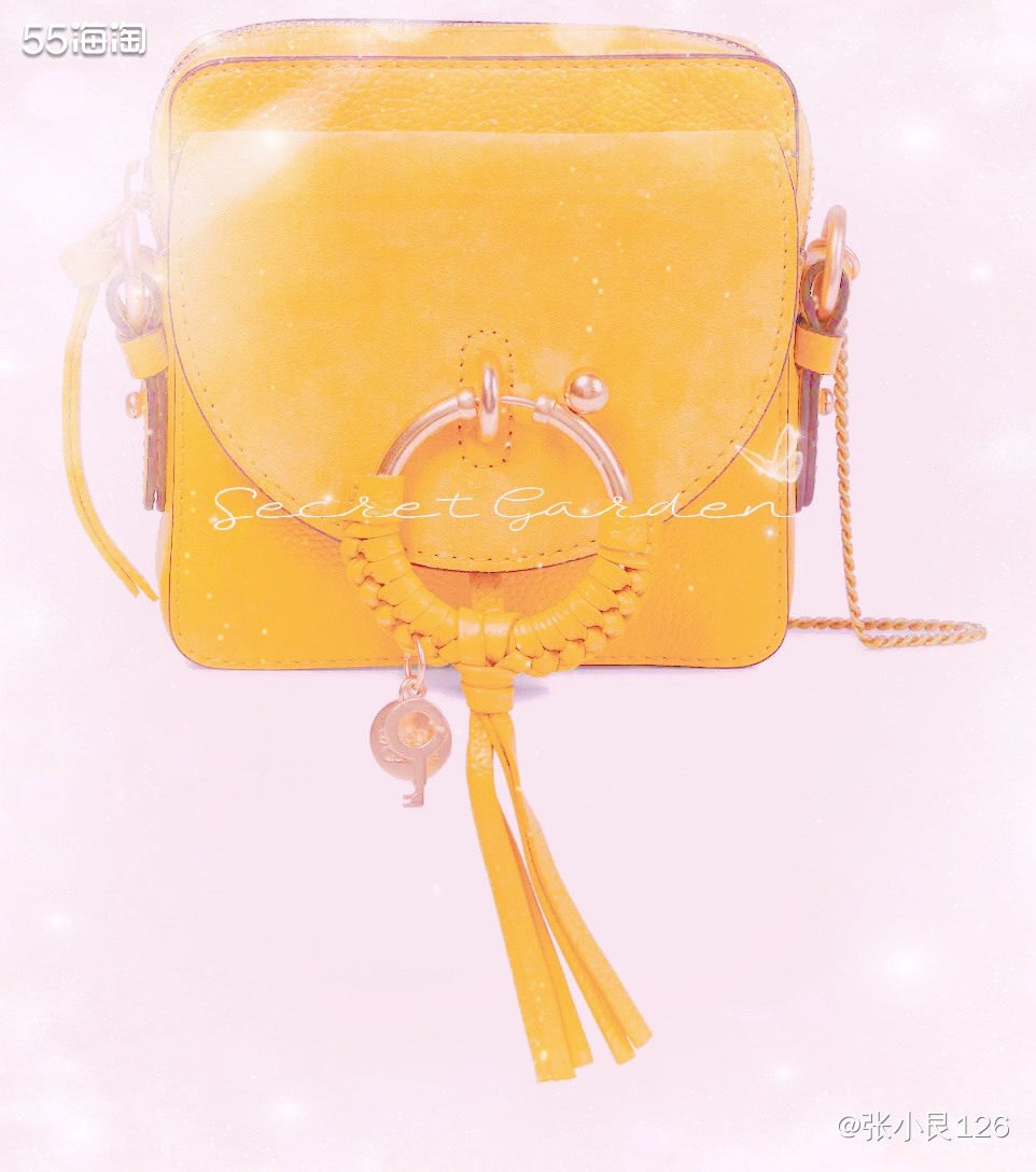 ☘️see by chole包包是 Chloe的年轻副线品牌