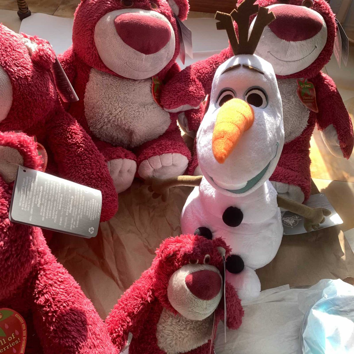 🎆好久没有冒泡啦 备考完教资要一口气把社区帖子都写了😂更