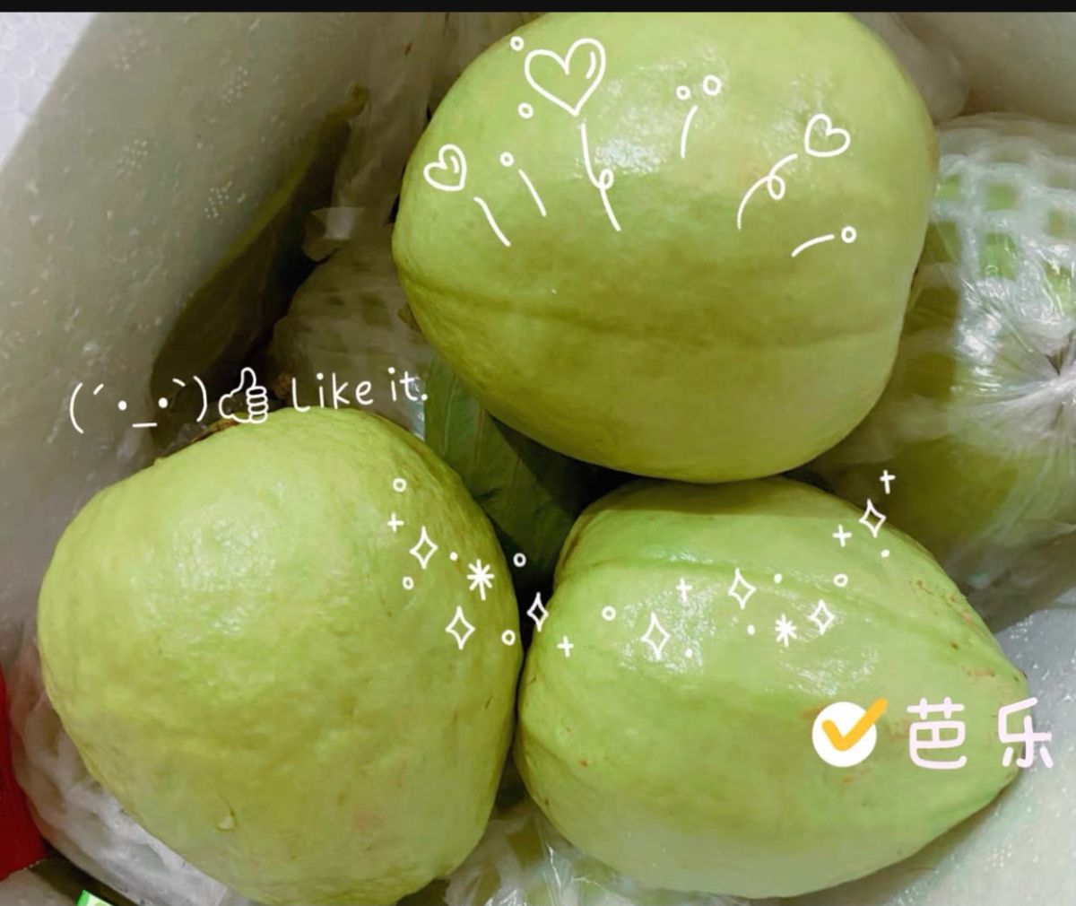 🎆好久没有冒泡啦 备考完教资要一口气把社区帖子都写了😂更